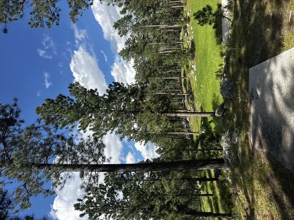 Pageant Hill DGC: Pageant Hill DGC, photo by Jeri-Ann Brownbridge